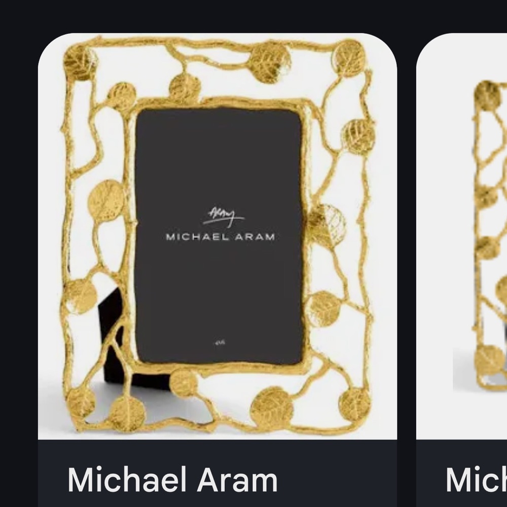 Michael Aram picture frame large